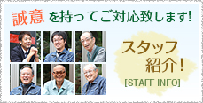 スタッフ紹介